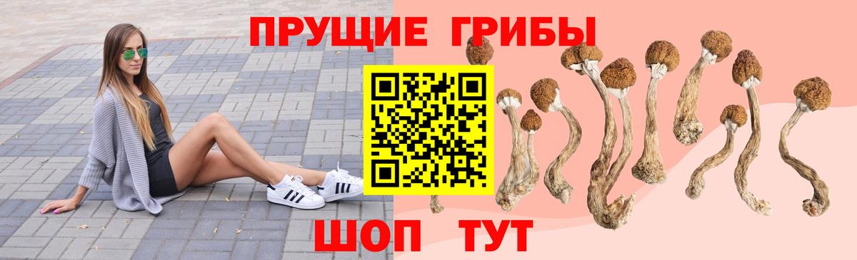 Галлюциногенные грибы MAGIC MUSHROOMS  цены наркотик  Губкинский  Вход с VPN 